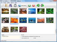 organizing flickr slideshow Flickr Gallery Web Page