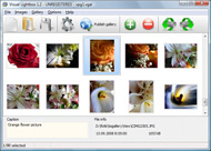 tools to embed flickr Flickr Gallery To Facebook